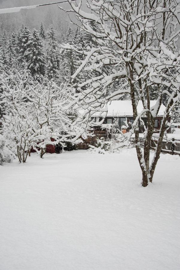 Apartment Gipfelkönig Bayrischzell