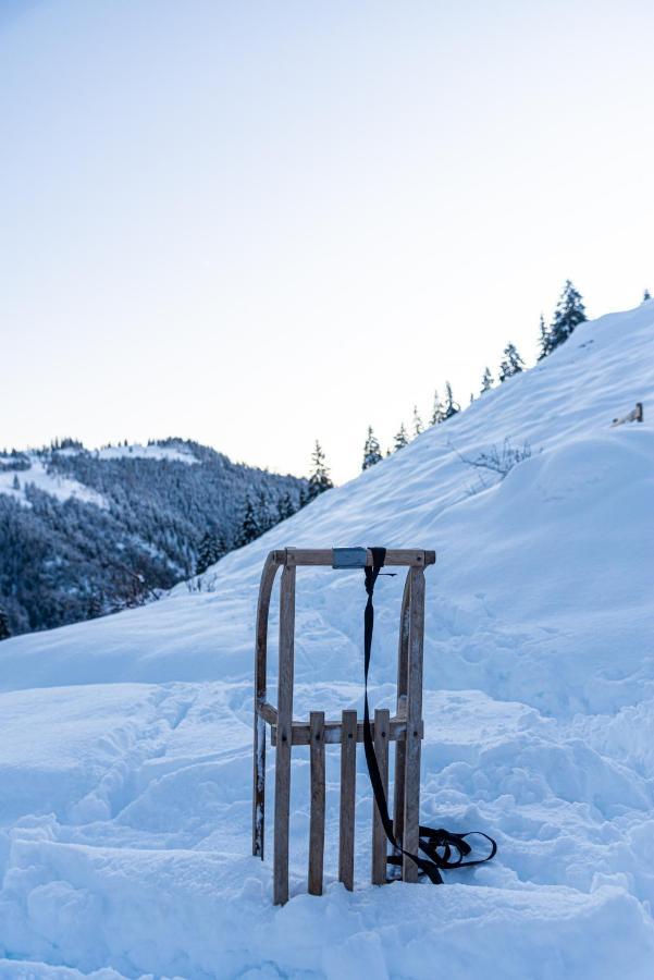 Gipfelkönig * Bayrischzell