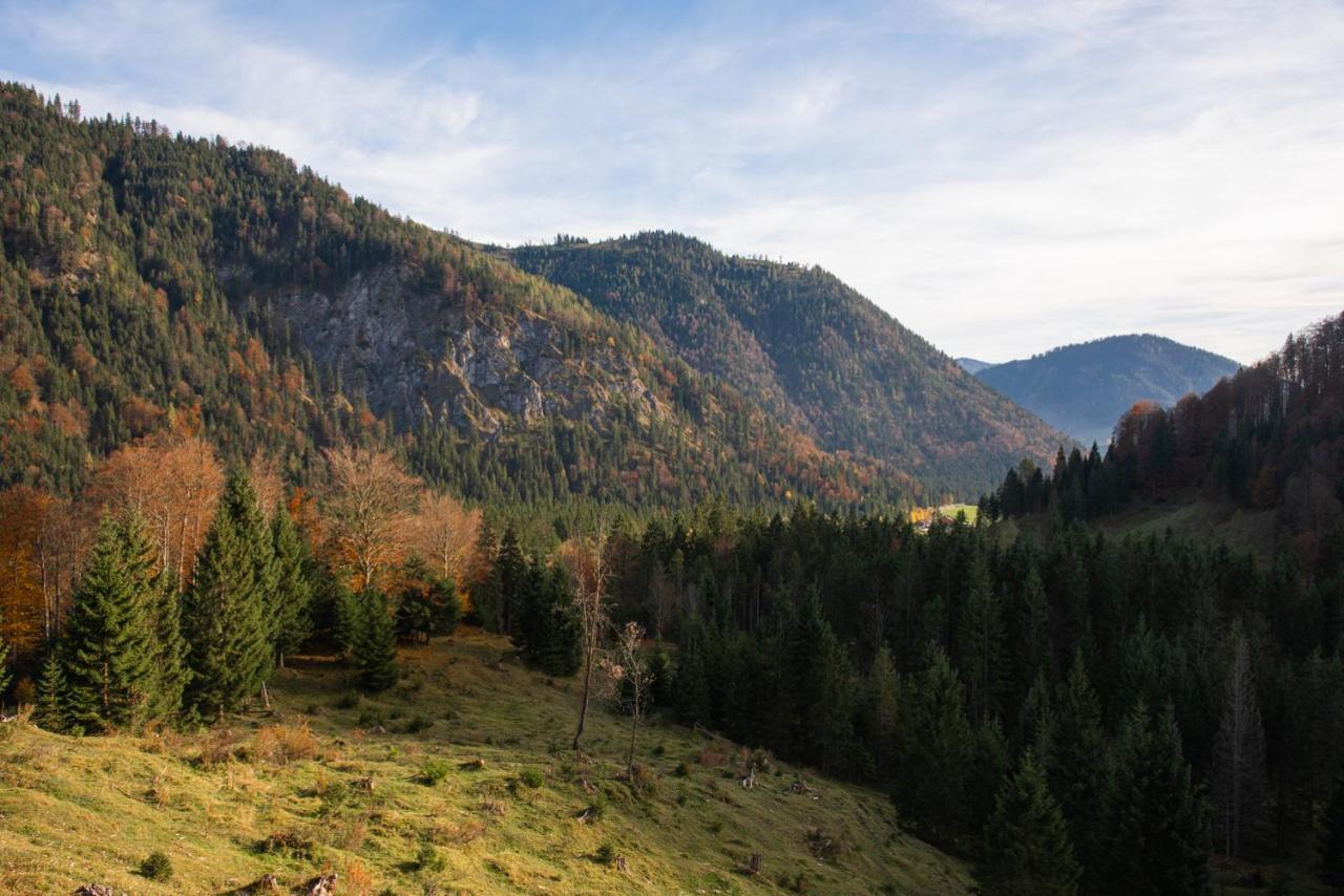 Appartement Gipfelkoenig